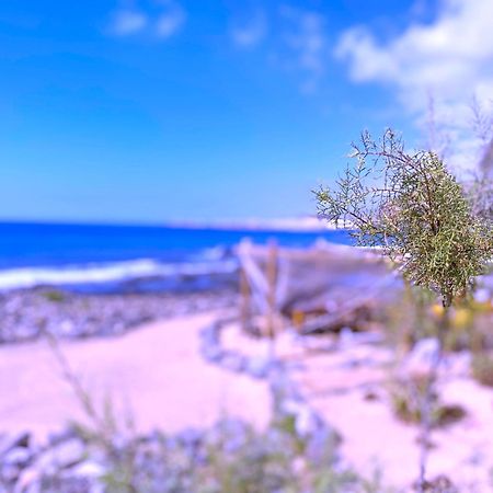 Tropicalidays Las Olas بالم مار المظهر الخارجي الصورة
